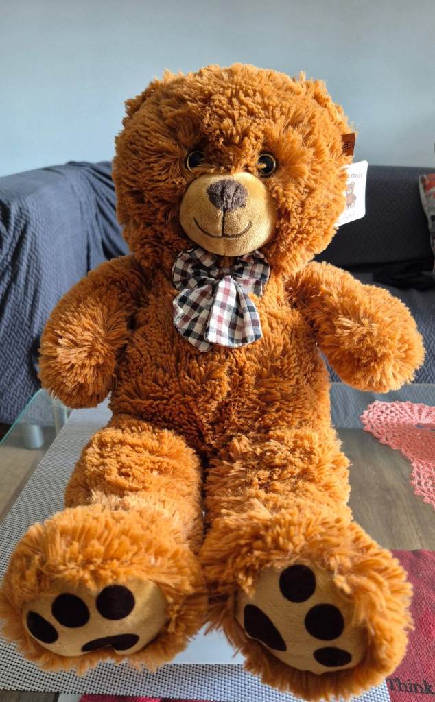 Teddy Bear(New) with tag