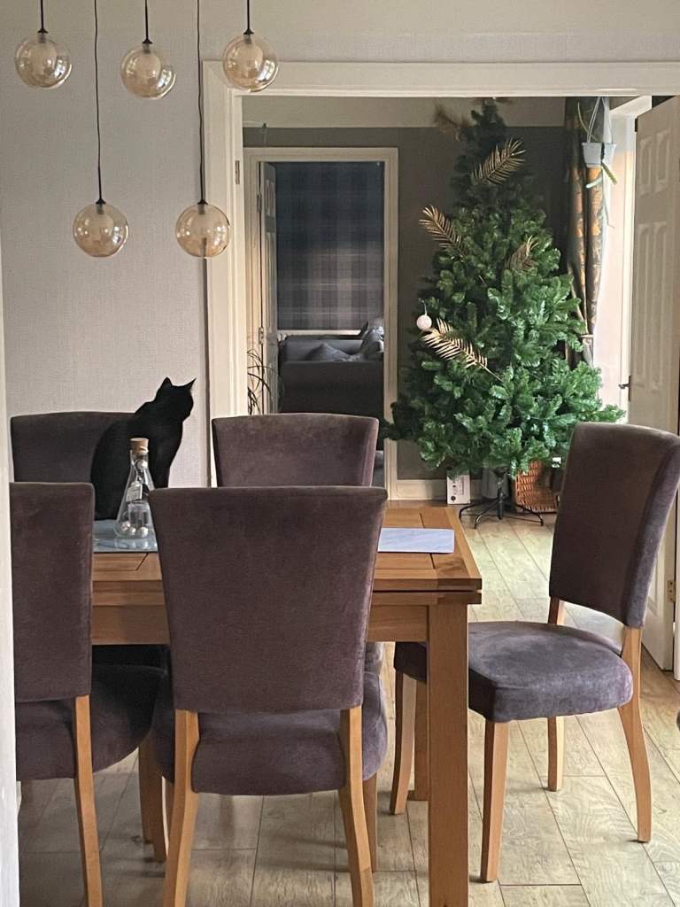 Set of 6 Oak Furniture Land Fabric Dining Chairs – Cat-Scratched But Solid