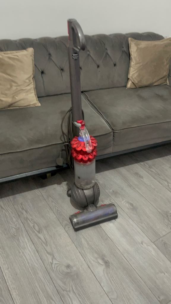 Dyson DC50 Animal Upright Vacuum Cleaner red