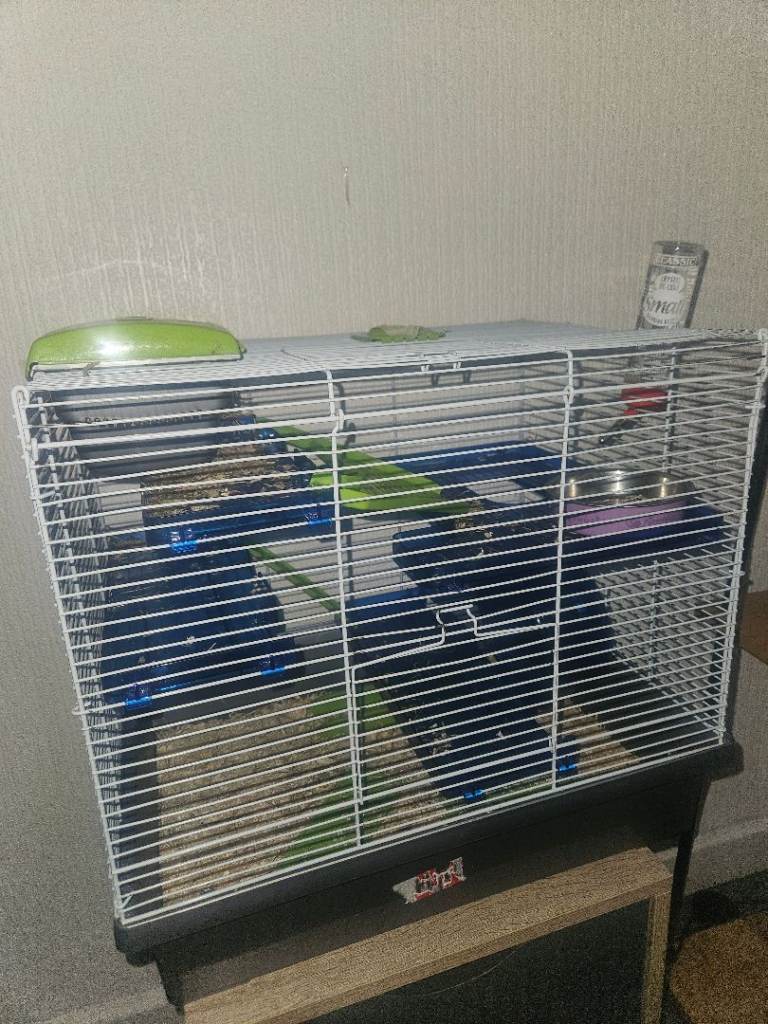 Hamster cage, bedding & food