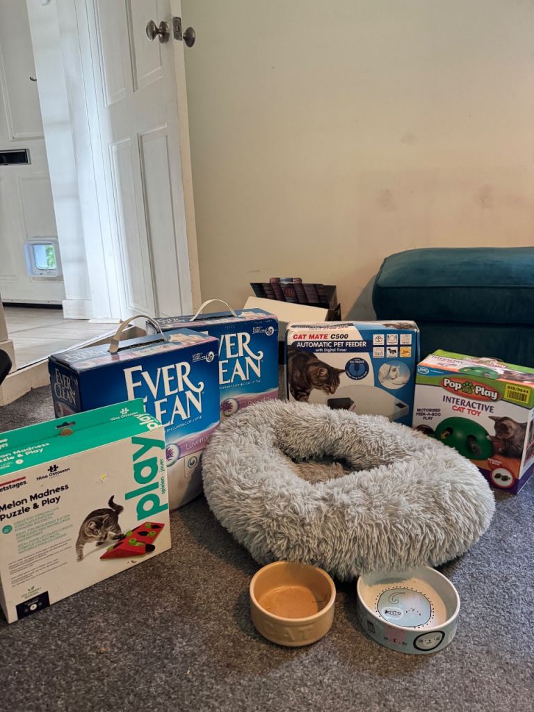 Cat items for sale various