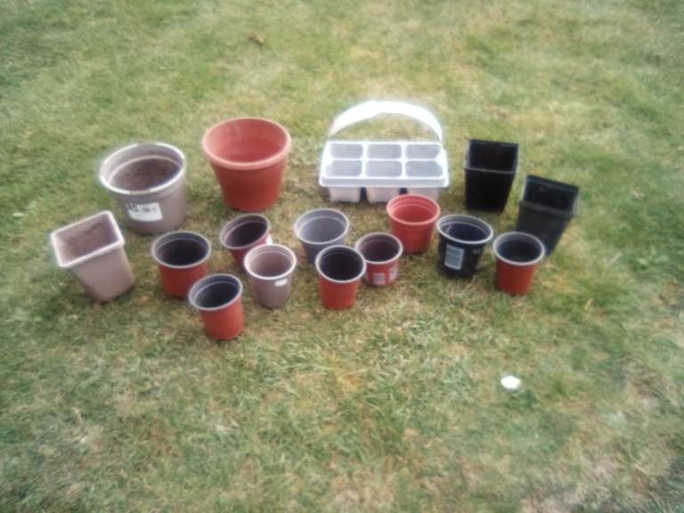 Various size plastic plant pots - £3