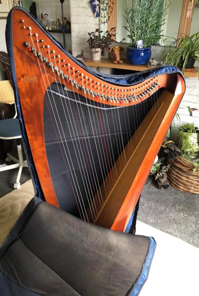 Salvi Livia Leaver Harp