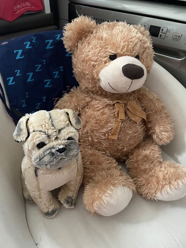 2x Soft Teddies (pugdog and teddy)