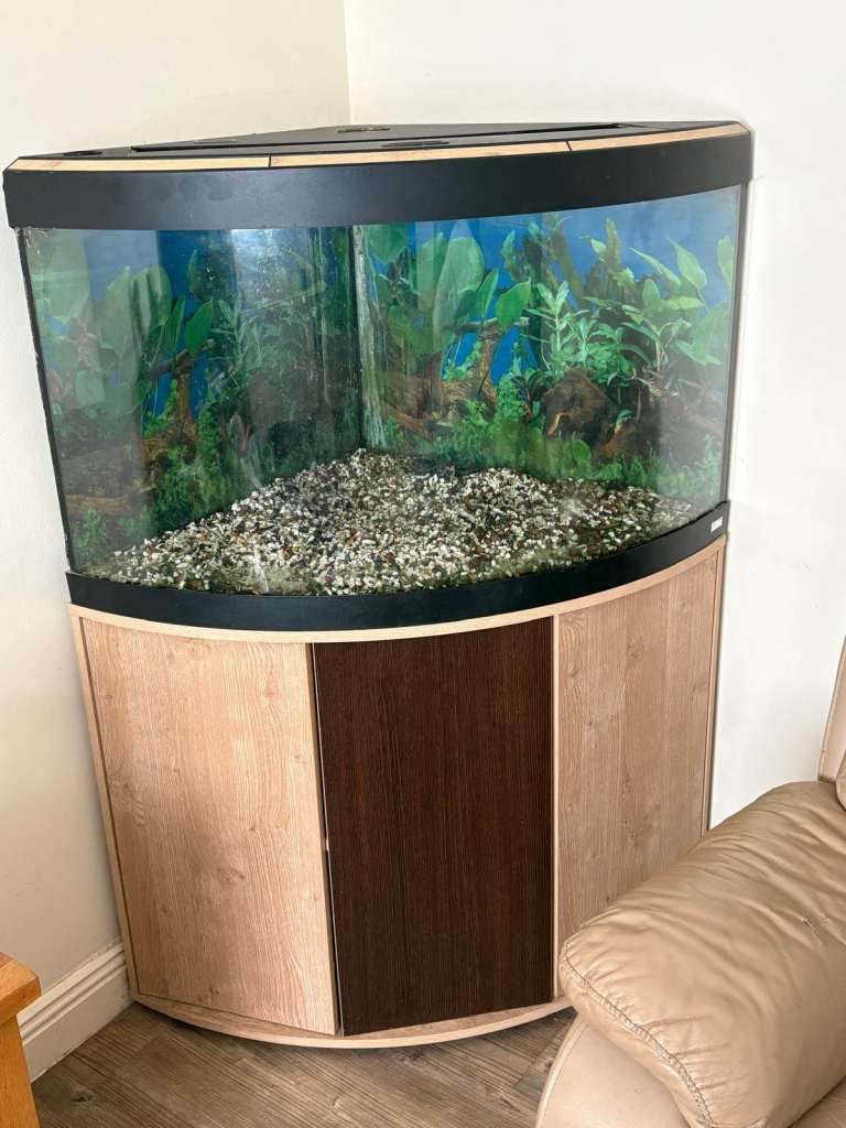 Large Corner Aquarium Fish Tank with Cabinet – Good Condition