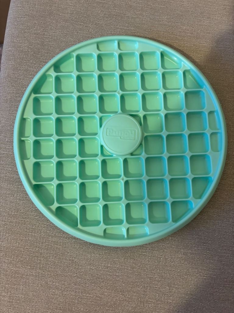 Dog slow feeder dish 