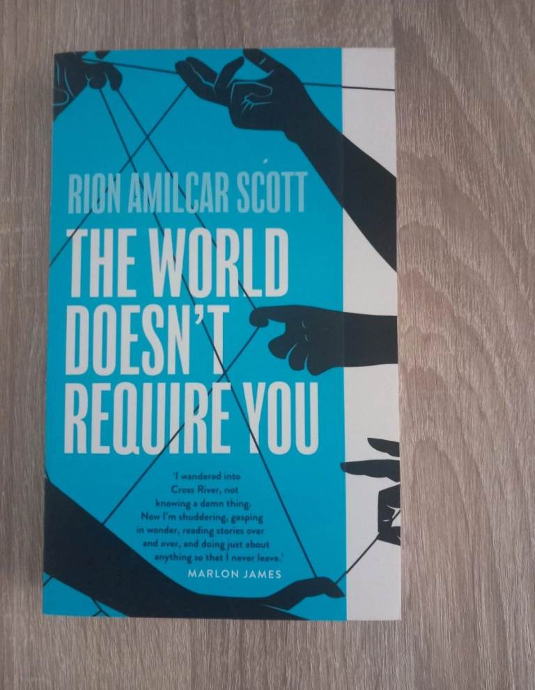 The world doesn't require you rion amilcar scott 