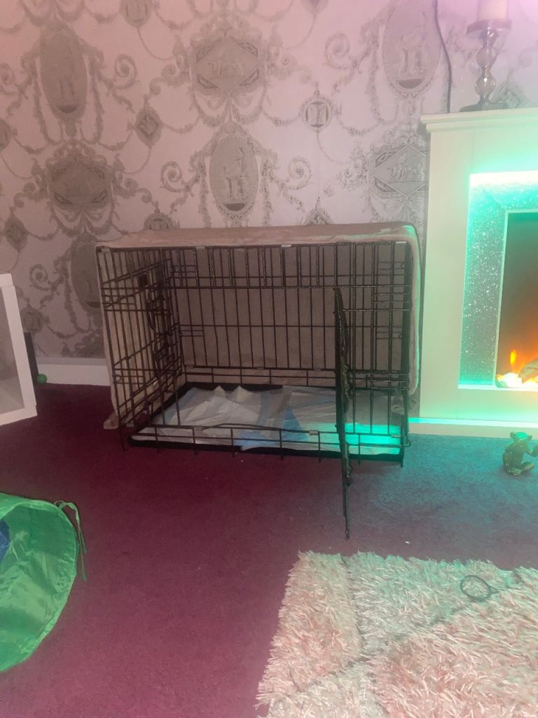 Black metal dog crate 