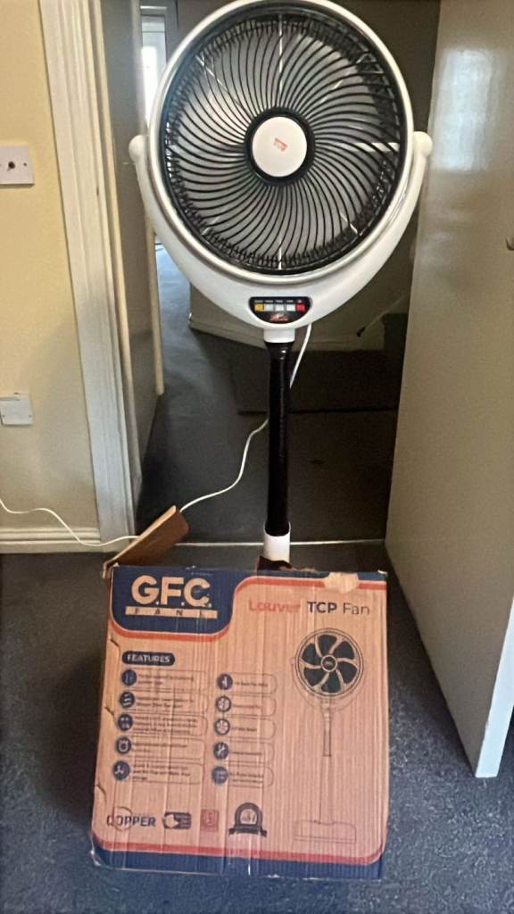 Pedestal fan with oscillating fan