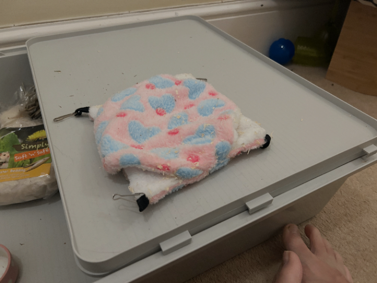 Hamster accommodation