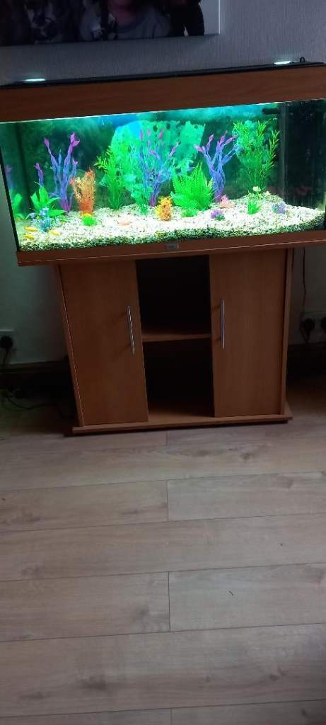 Juwel 180 Aquarium + Matching Stand + Fish — £170