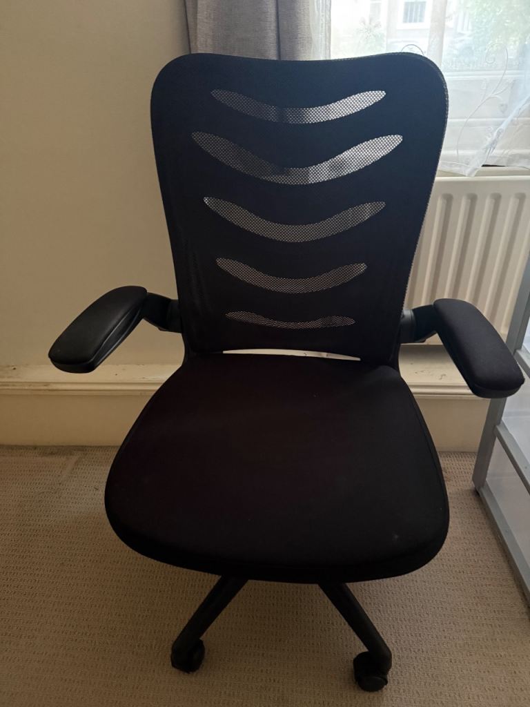 Ergonomic Desk Chair