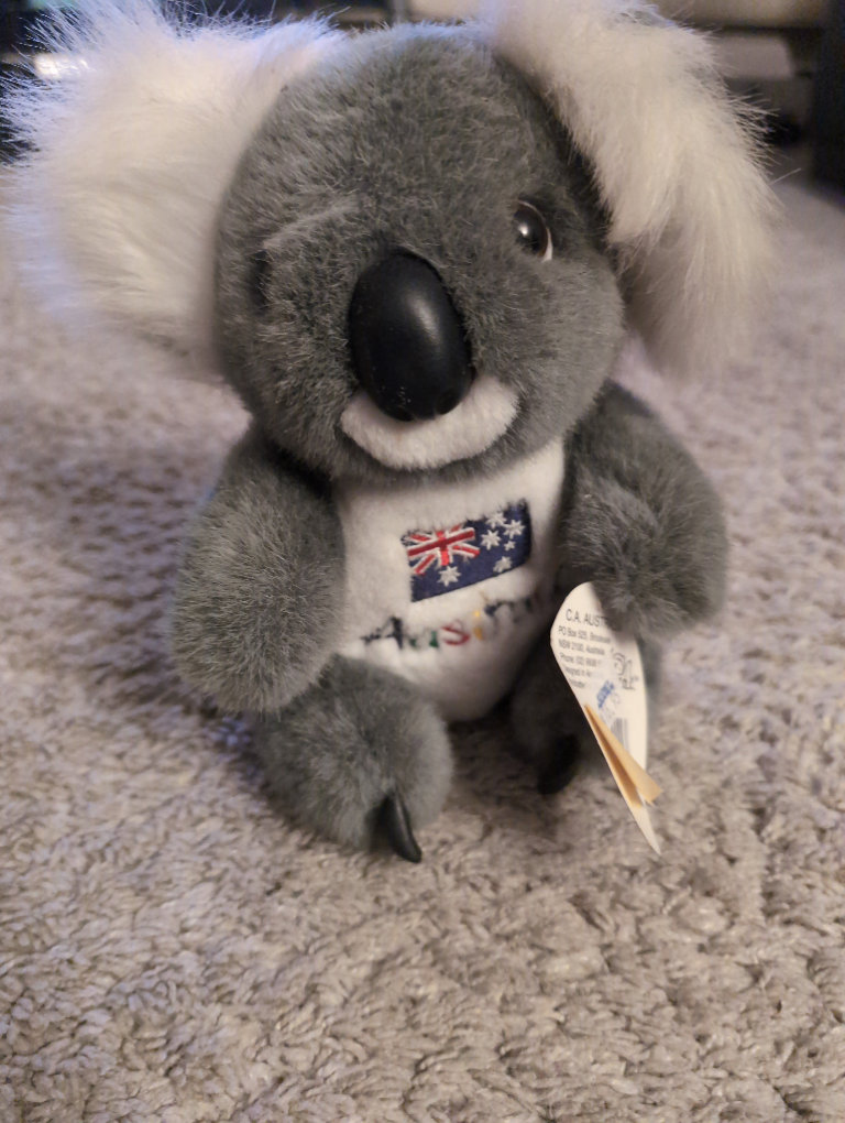 Australia koala teddy 