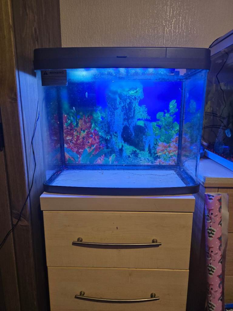 Fish tank 40 ltr
