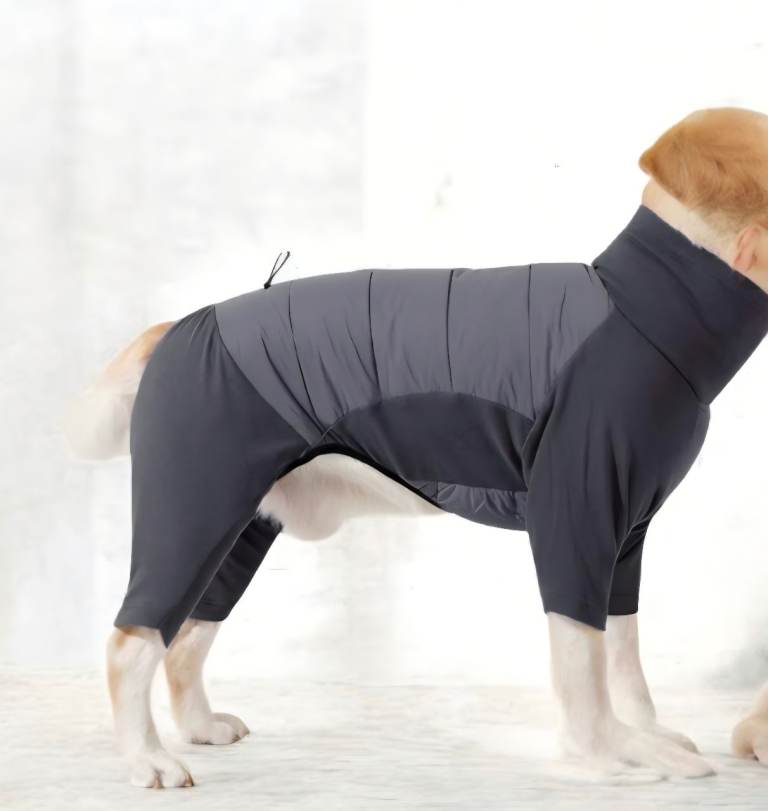 Dog suit 