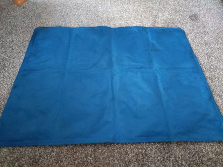 Dog cooling mat