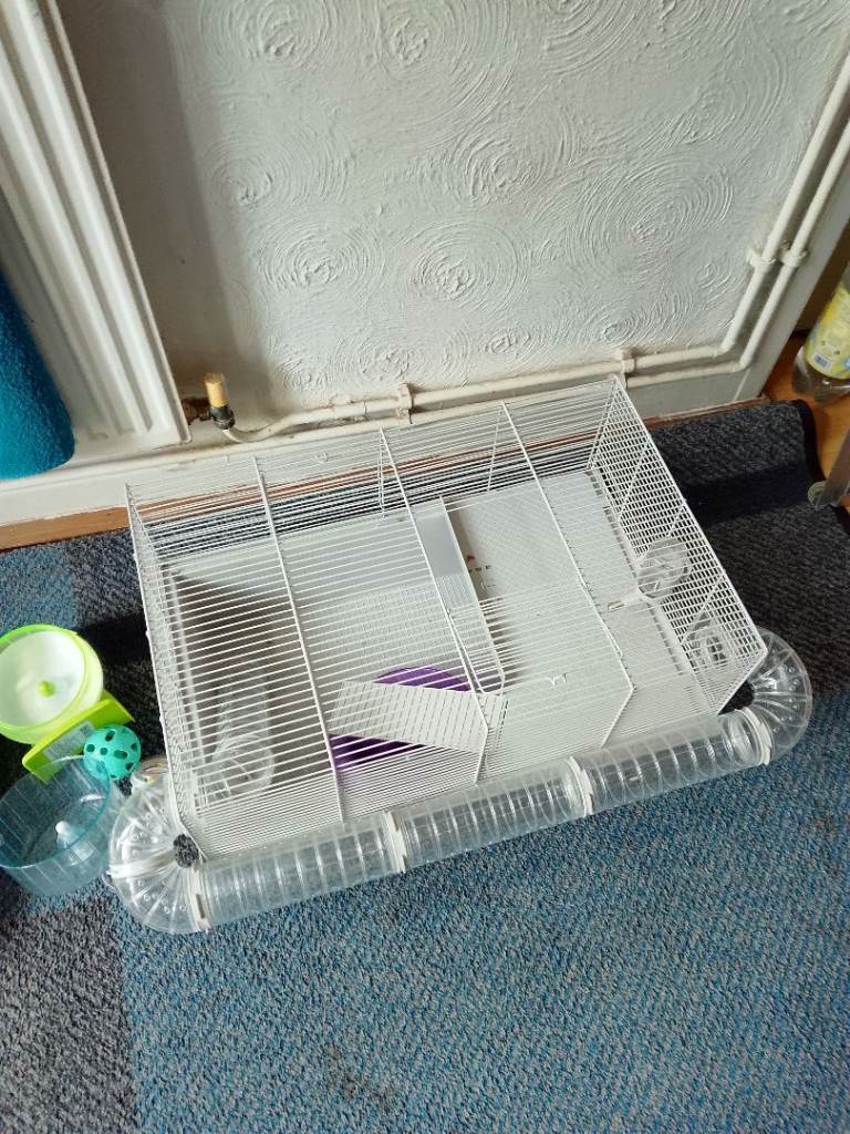 Hamster 🐹 cage 