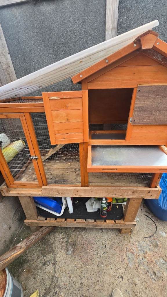 Free rabbit hutch