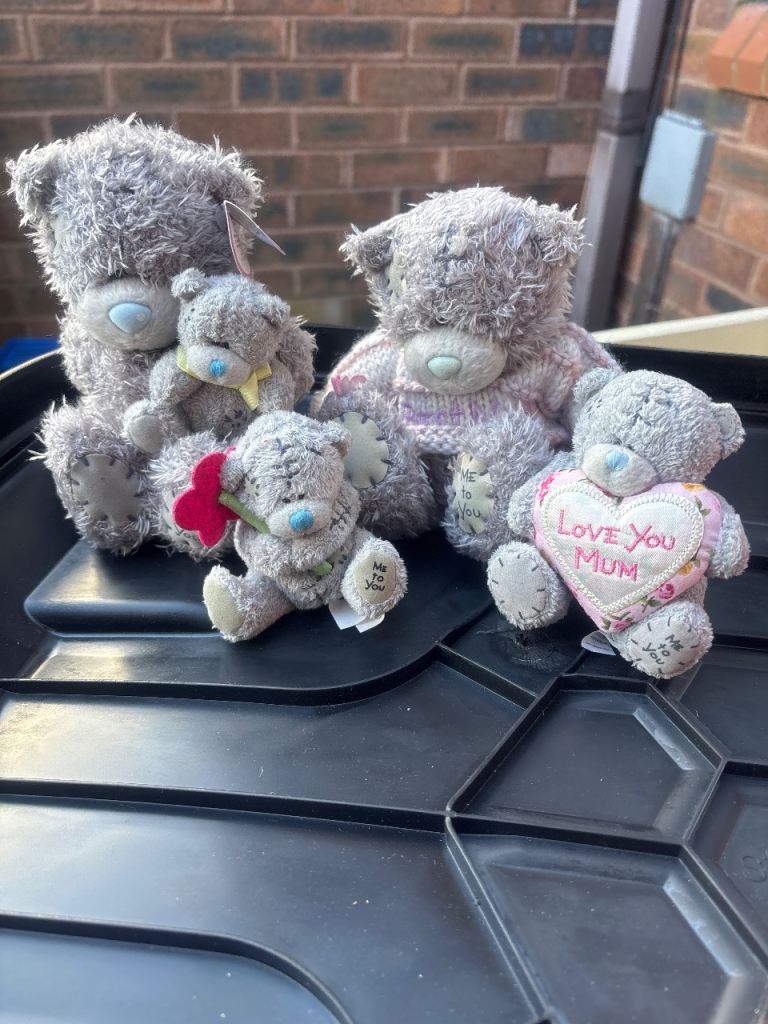 Collection of YOU TO ME  Bears 