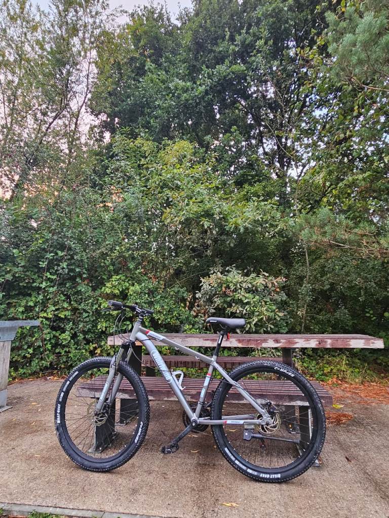 Grey Mountain Bike – very good Condition, Ready to Ride