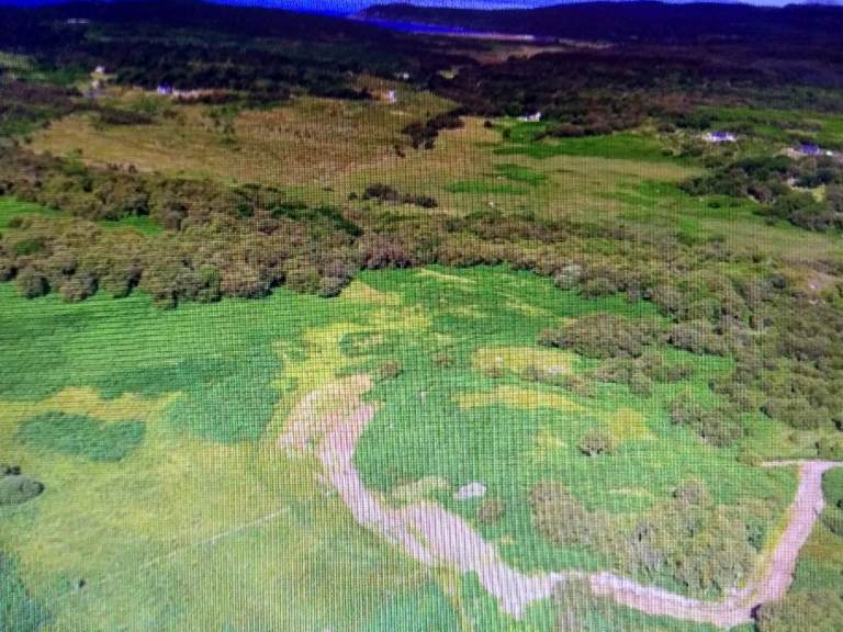 Woodland plot Scotland go fishing holiday 1000 square feet swap for £450 or what you got