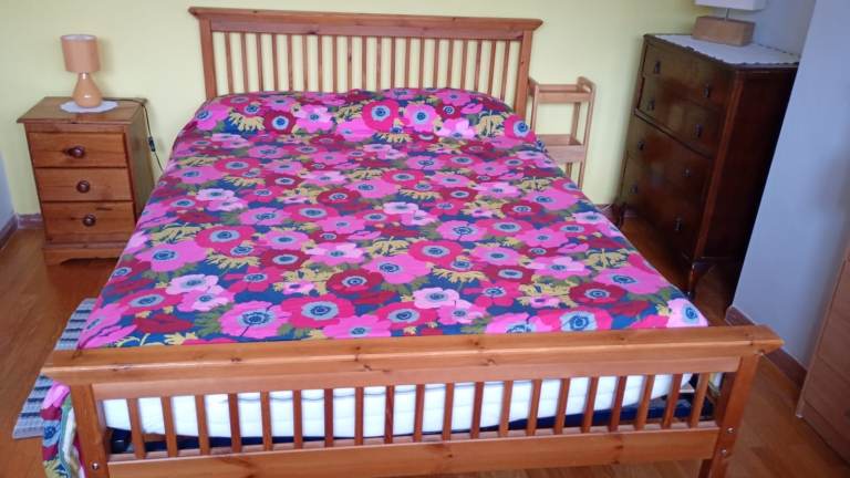 Large bright room in neat house with two gardens and many birds. Zone 2. 3 tubes and 5 buses nearby,