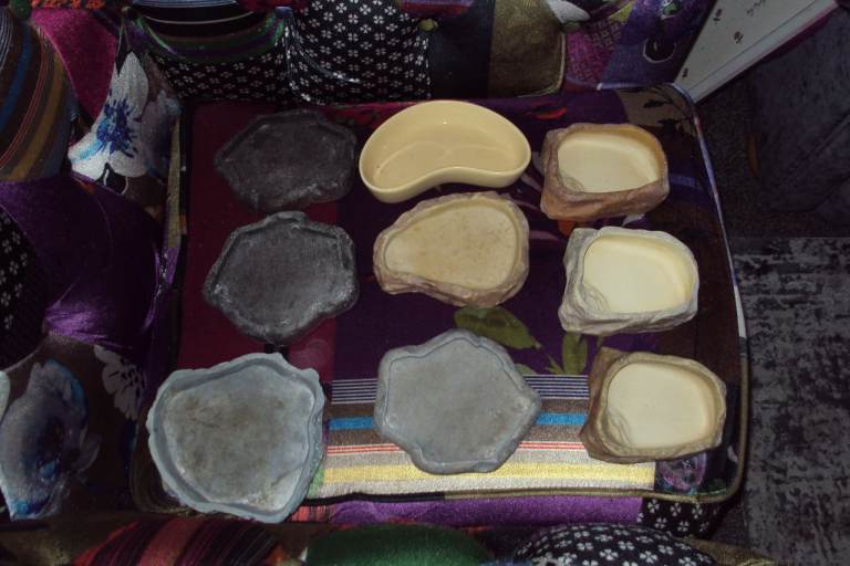 9 assorted reptile / amphibian bowls / dishes
