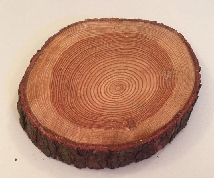 Log slice cake stand wedding table centre pieces 
