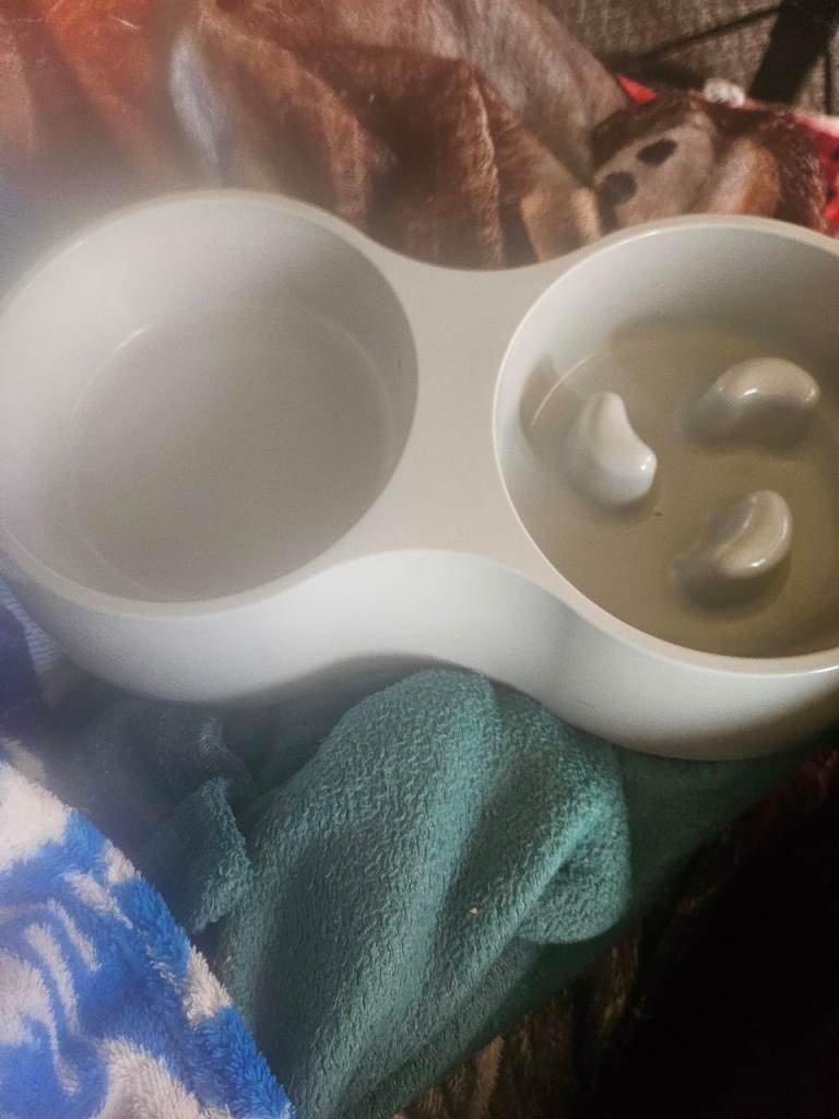 Dog Bowl For Sale