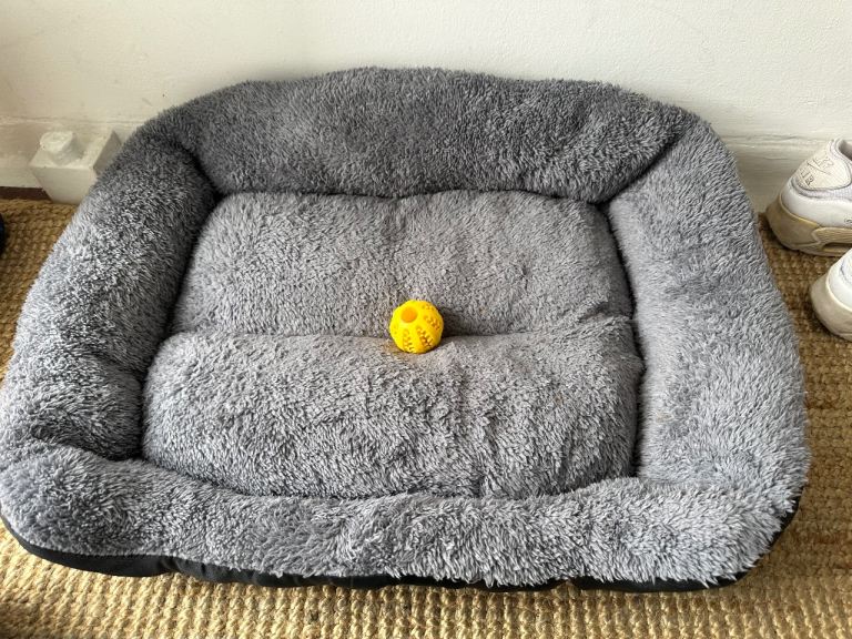 NEED GONE TODAY: FREE Dog/Pet Bed, Blanket, Ball, Poo Bags