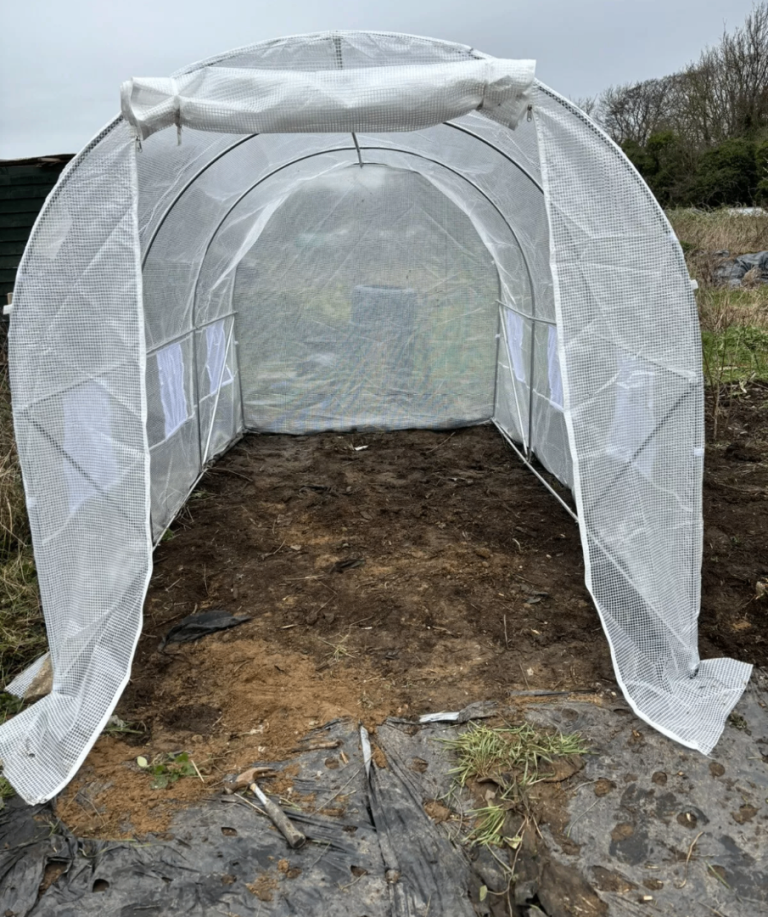 Walk-In Polytunnel Greenhouse | Heavy-Duty Steel Frame | UV-Resistant Cover | Multiple Sizes