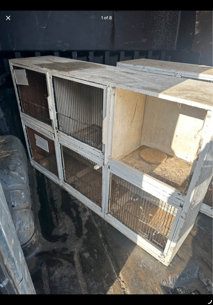 Finch bird breeding cages x4 blocks