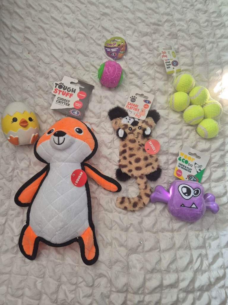 Dog toy bundle 