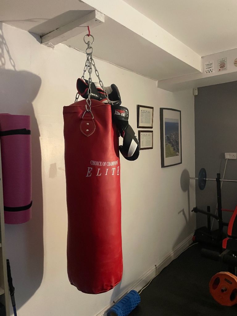 Punch bag and gloves