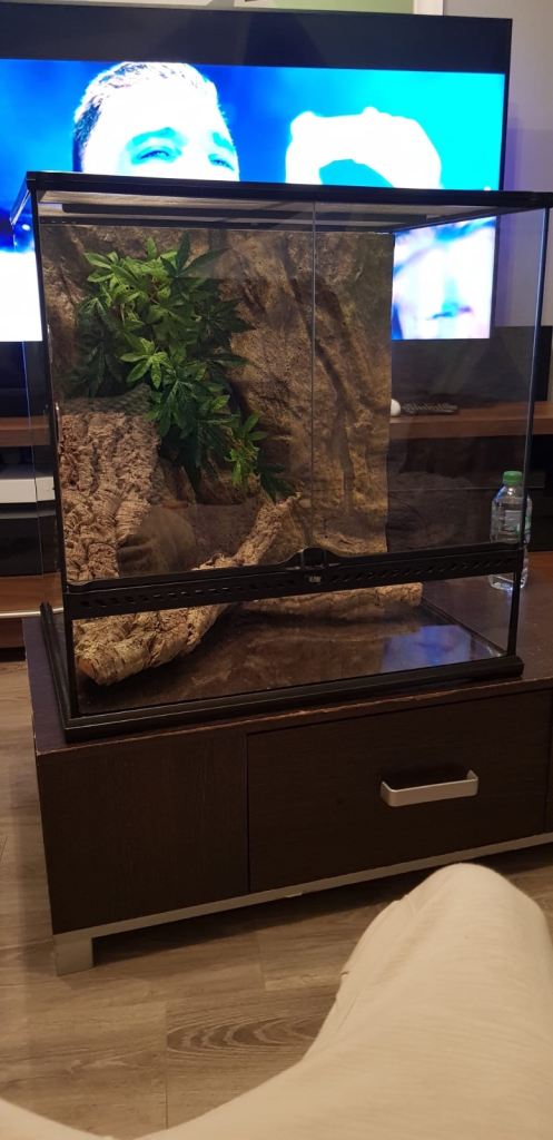  Natural Terrarium