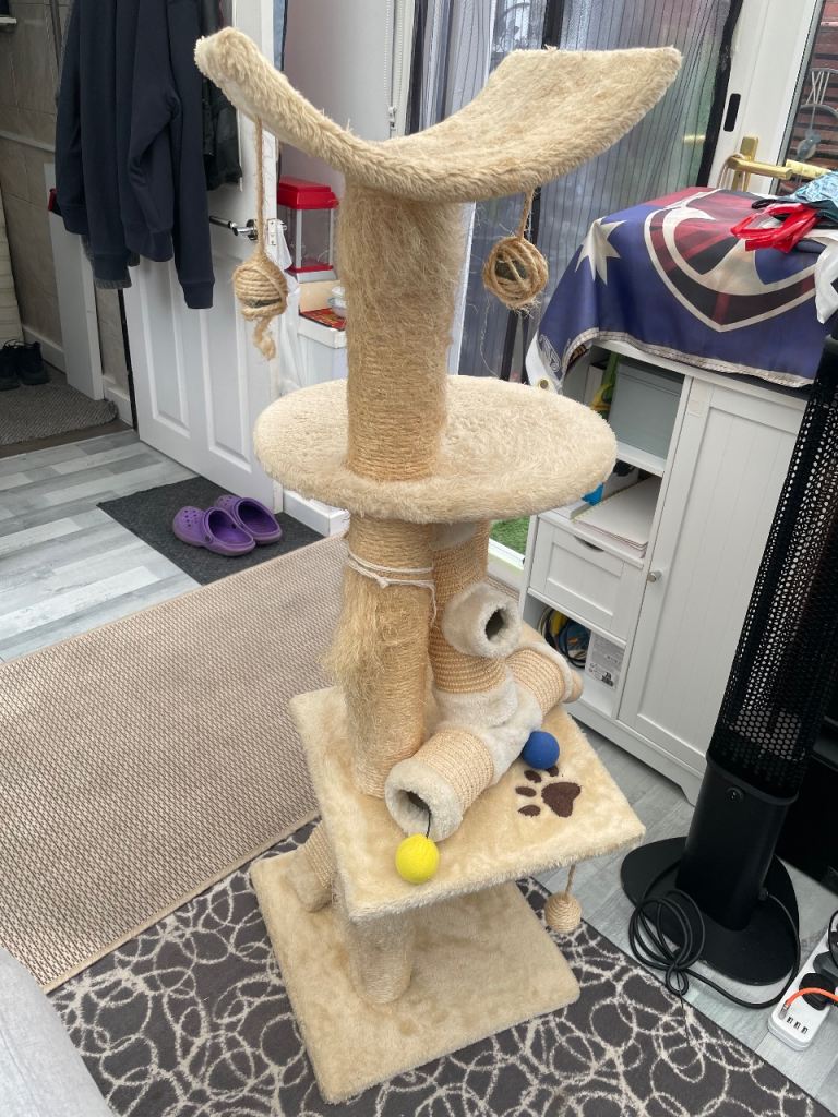 Free cat tower and toys 