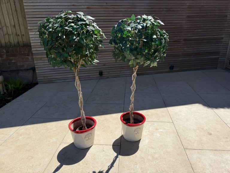 Blooming Artificial Bay Laurel Trees x 2 with Heritage Garden Pots