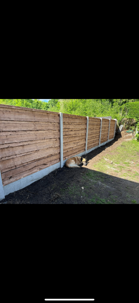 Fencing 