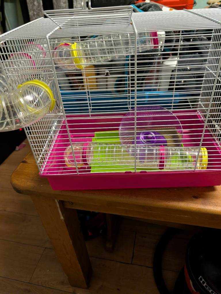 Hamster cage 