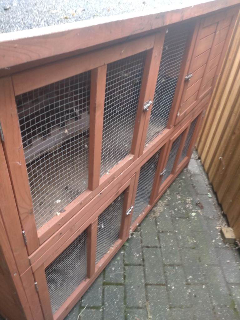 Rabbit hutch 