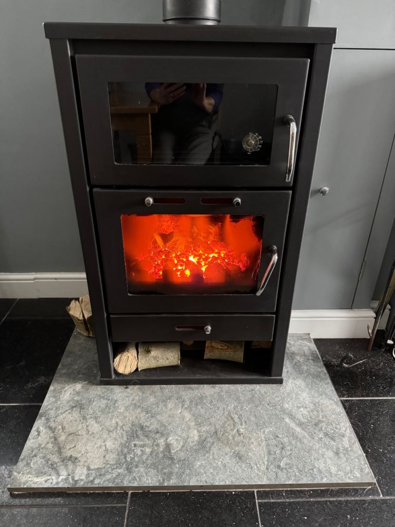 Multi fuel fire with back boiler