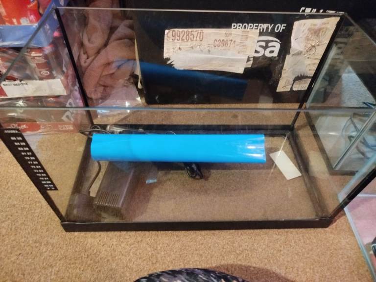 Fish tank no lid 