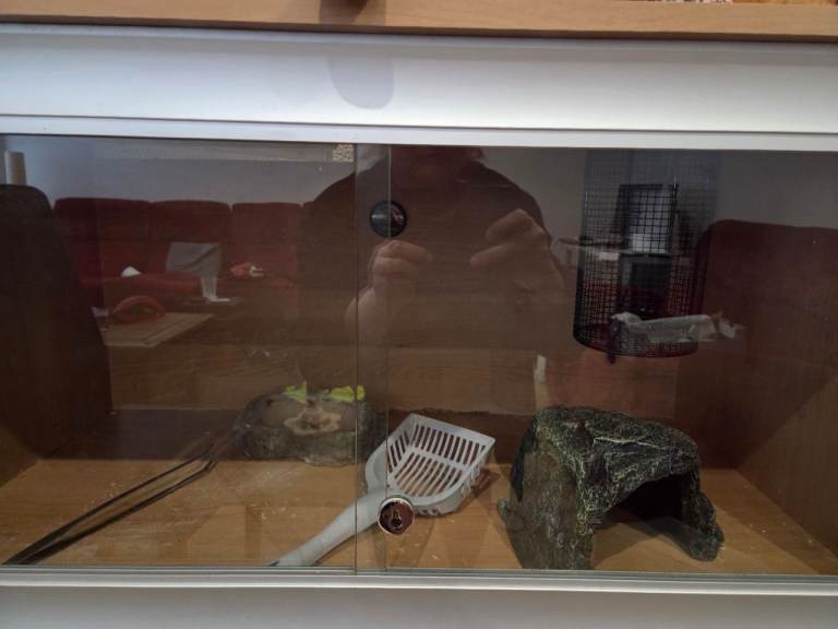 Complete vivarium set-up