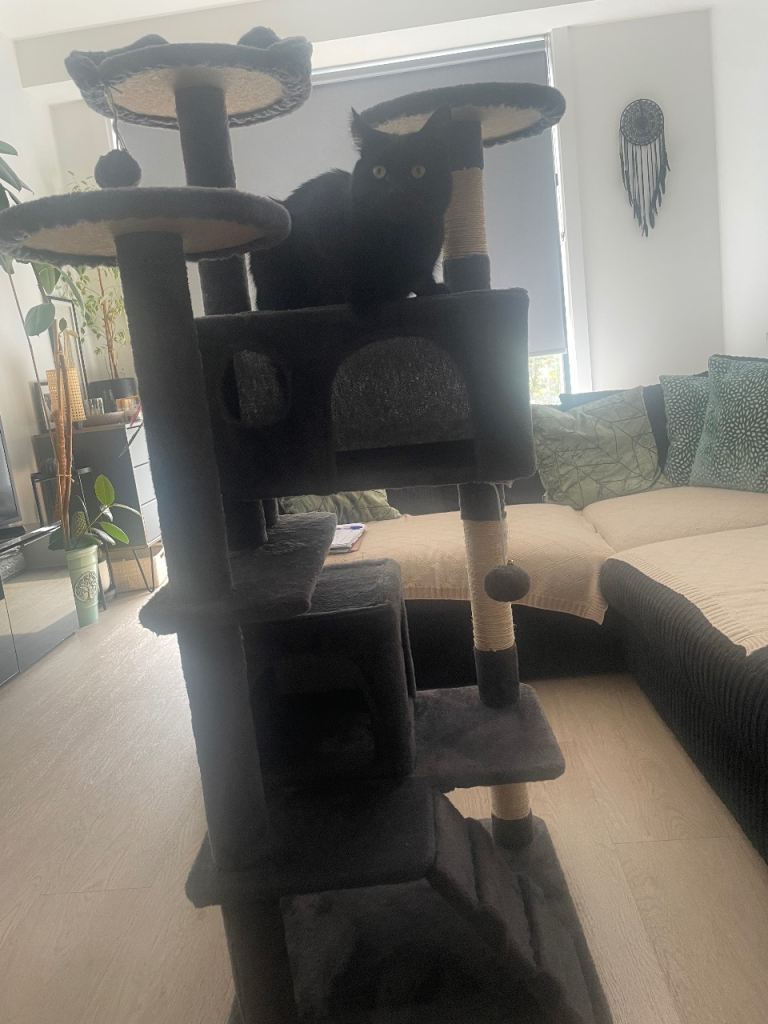 🐾  139cm Cat Tree – £25, only collection!