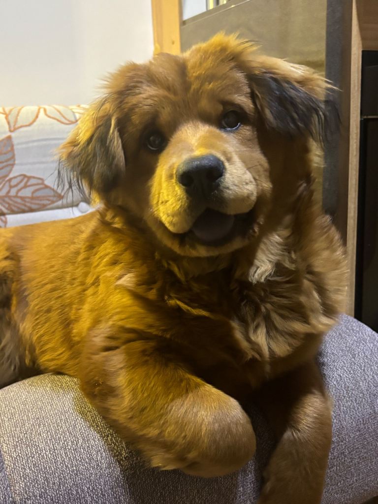 Coco 