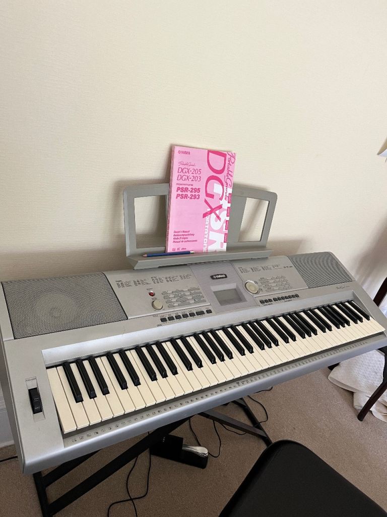 Piano / electric keyboard 