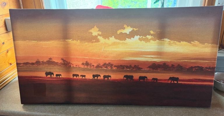 Africa elephant scene canvas 