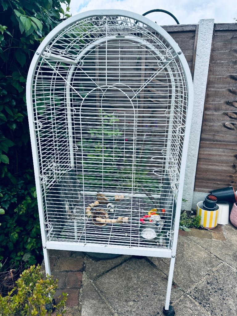 Full size parrot cage 