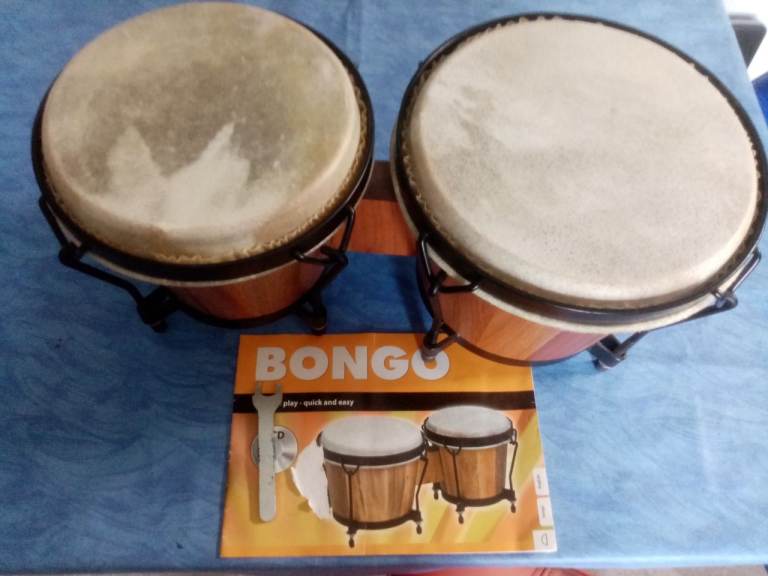 Bongo Drums
