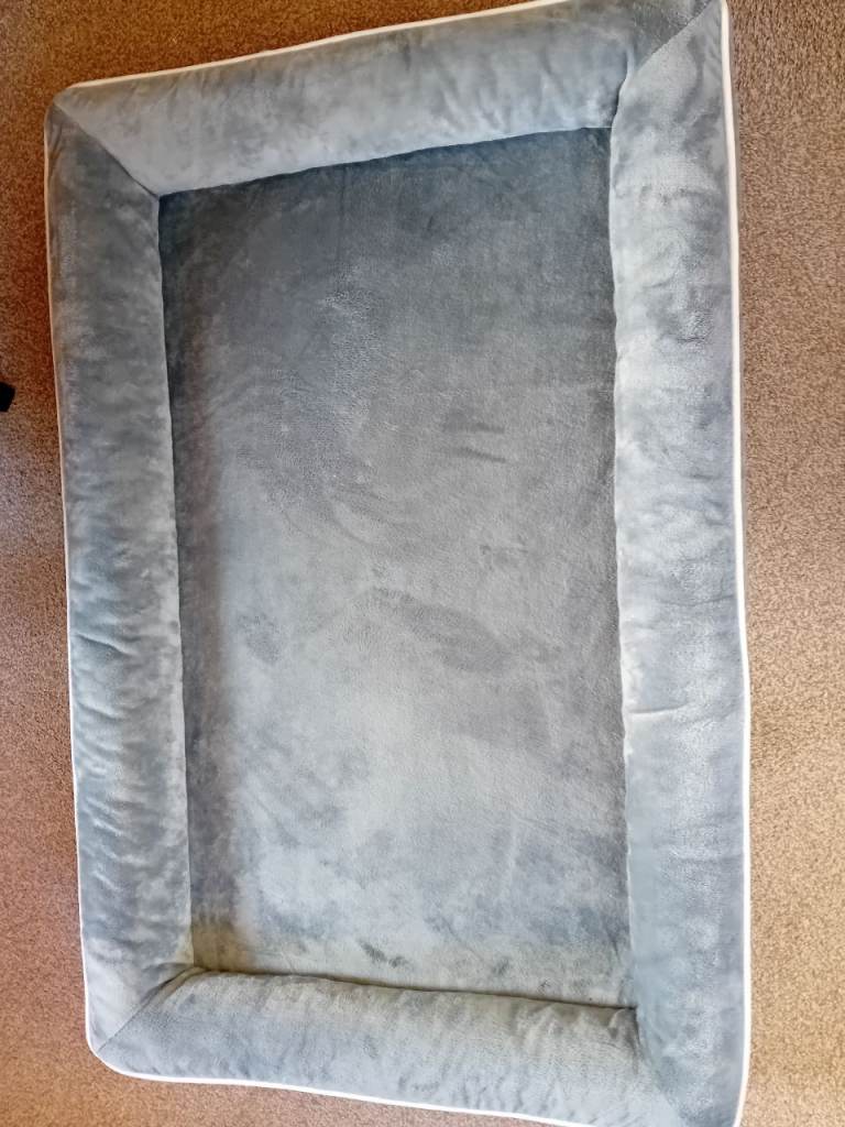 Large orthopedic dog bed